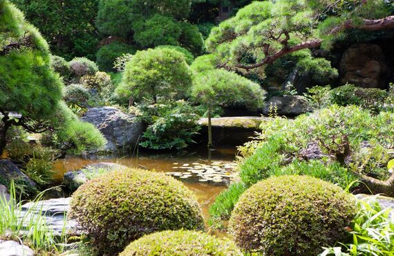神奈川で庭園をトータルサポートします | 一貫管理で横浜市のガーデニングを担う株式会社クローバー