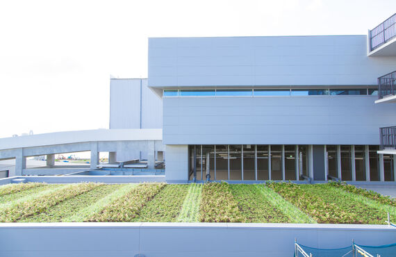 最適の工場緑地を神奈川で提案 | 一貫管理で横浜市のガーデニングを担う株式会社クローバー