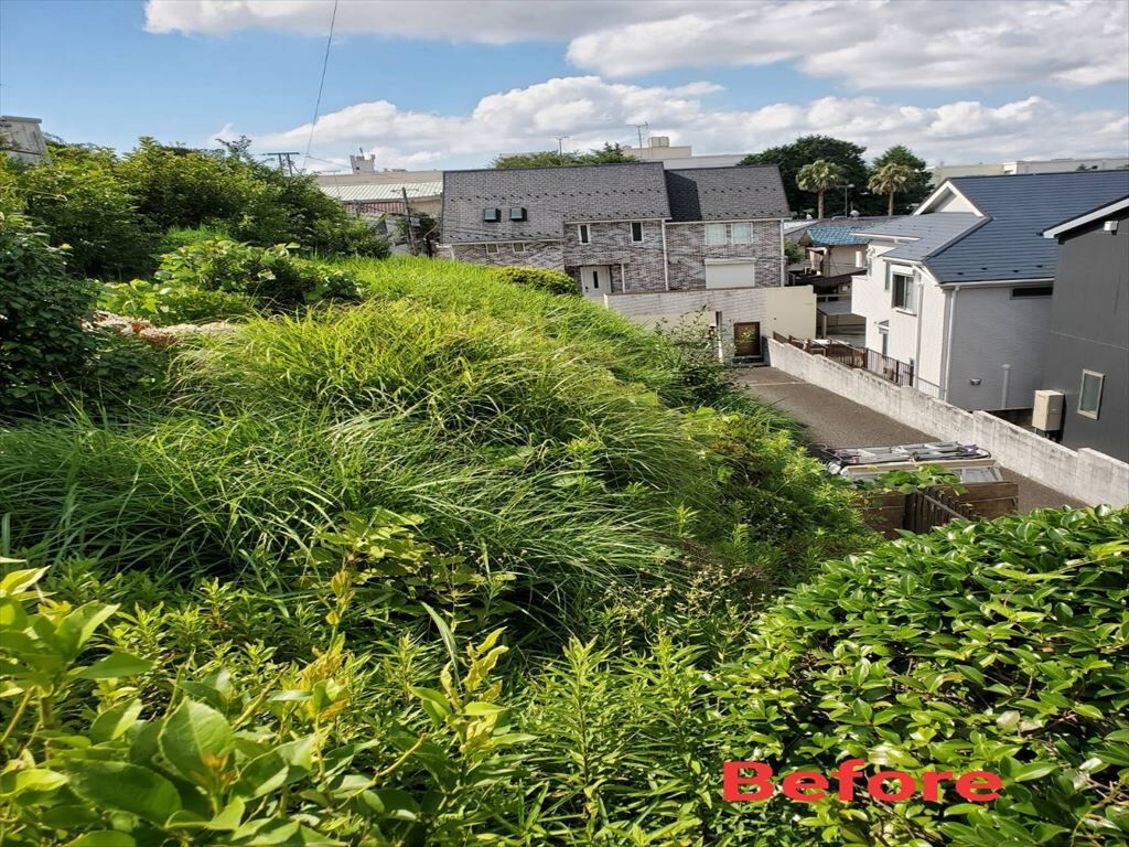 IMG_20210808_172639_R