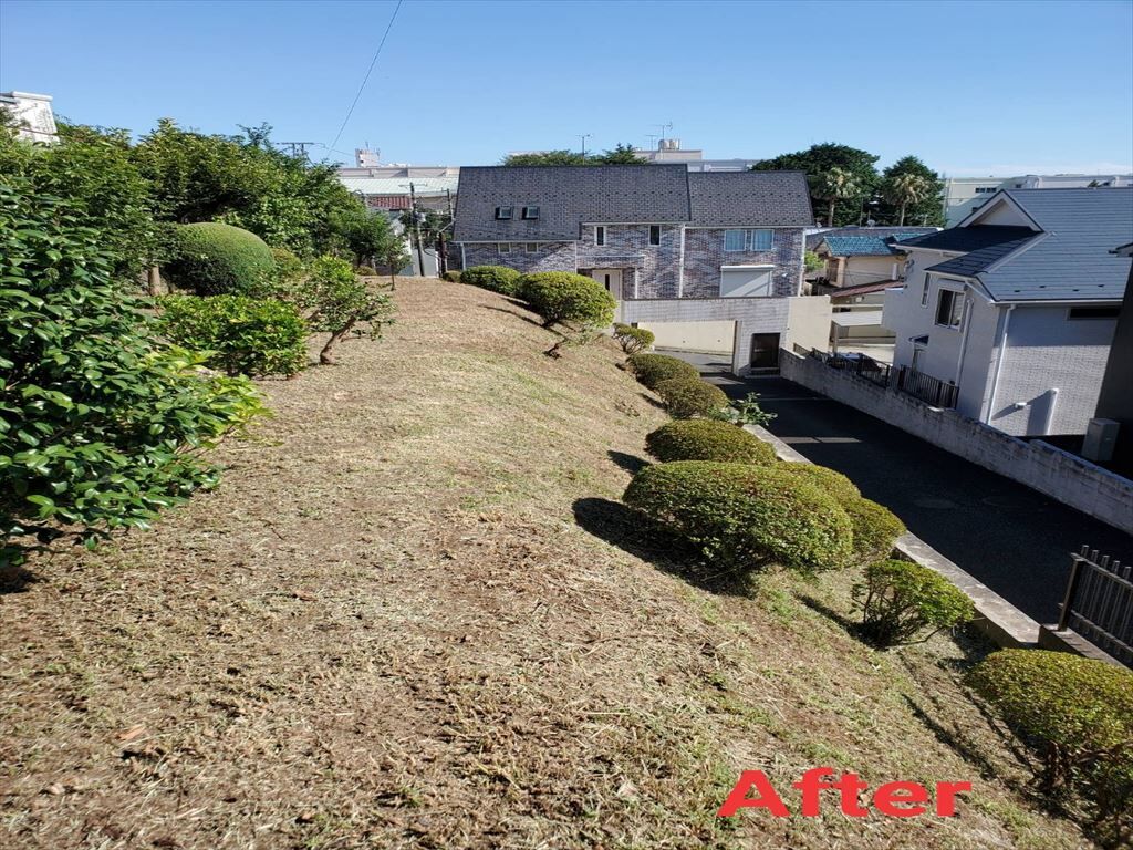 IMG_20210808_172709_R