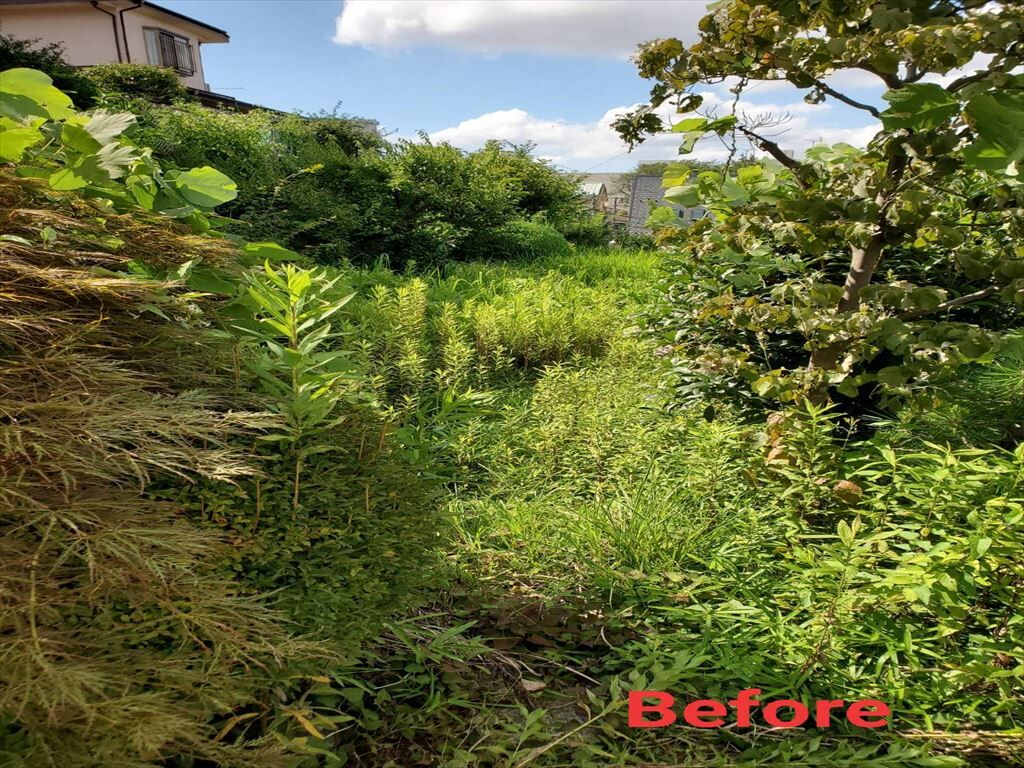 IMG_20210808_172529_R