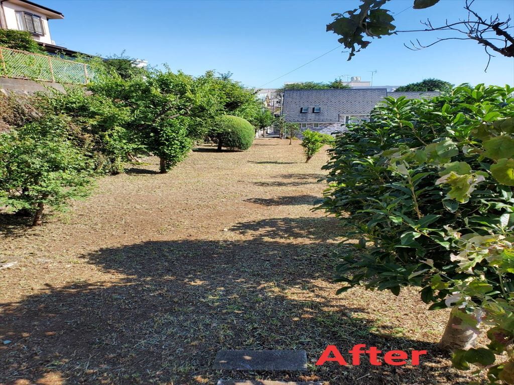 IMG_20210808_172556_R